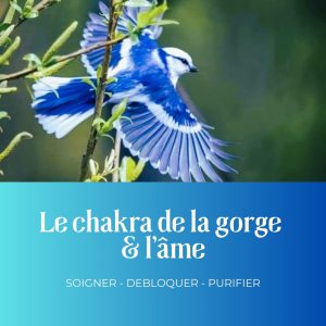 Soin : Le chakra de la gorge et l'âme - soigner, débloquer, purifier