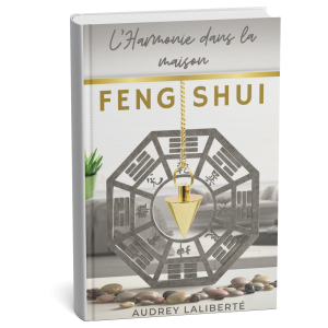 L'harmonie dans la maison : FENG SHUI