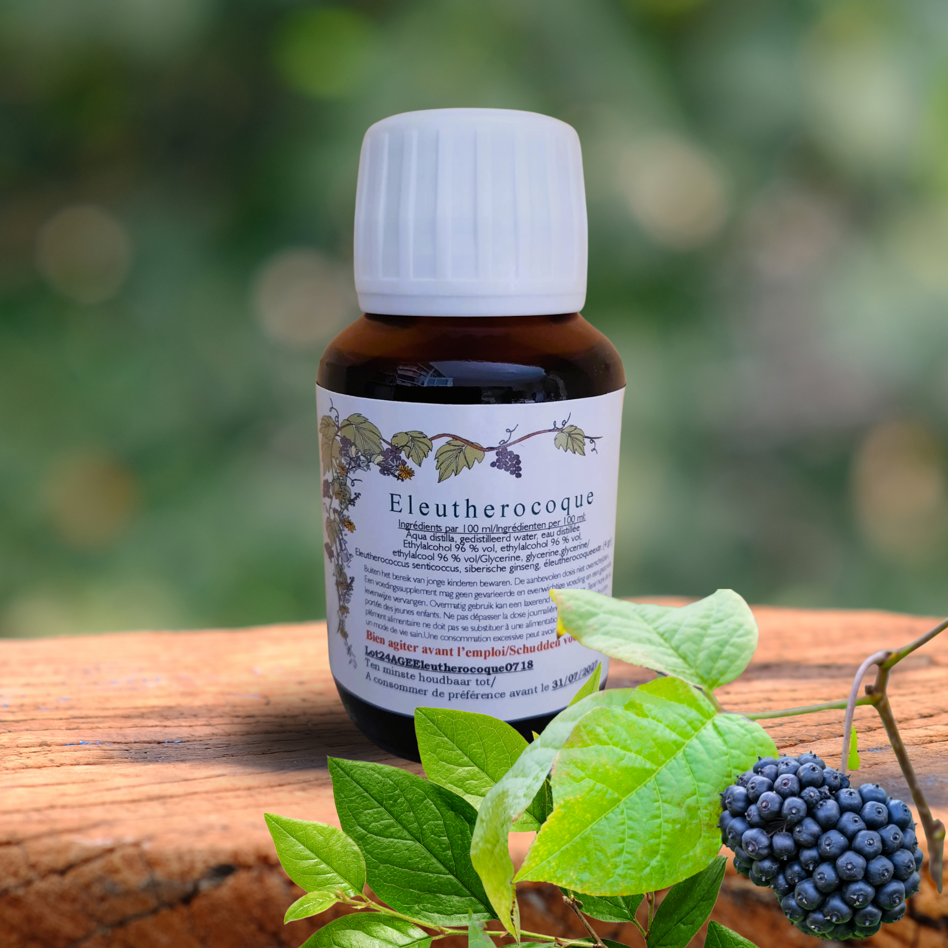 ENERGIE & VITALITE - l'Eleuthérocoque