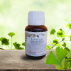 MEMORISER, SE CONCENTRER & ACTIVER LA CIRCULATION SANGUINE - le Ginkgo