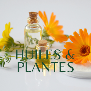 PLANTES - HUILES