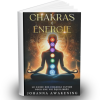 PENDULE des 7 CHAKRAS – Image 5