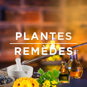 PLANTES - HUILES -REMEDES