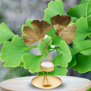 Petit PHOTOPHORE - Gingko Biloba