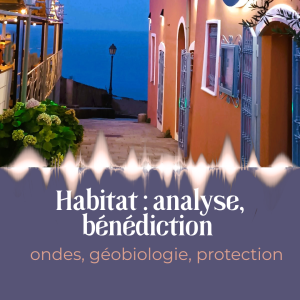 HABITAT, MAISONS - analyse, géobiologie, protection, bénédiction