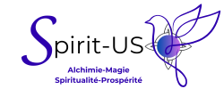 LOGO complet sans arrière plan Spirit-US